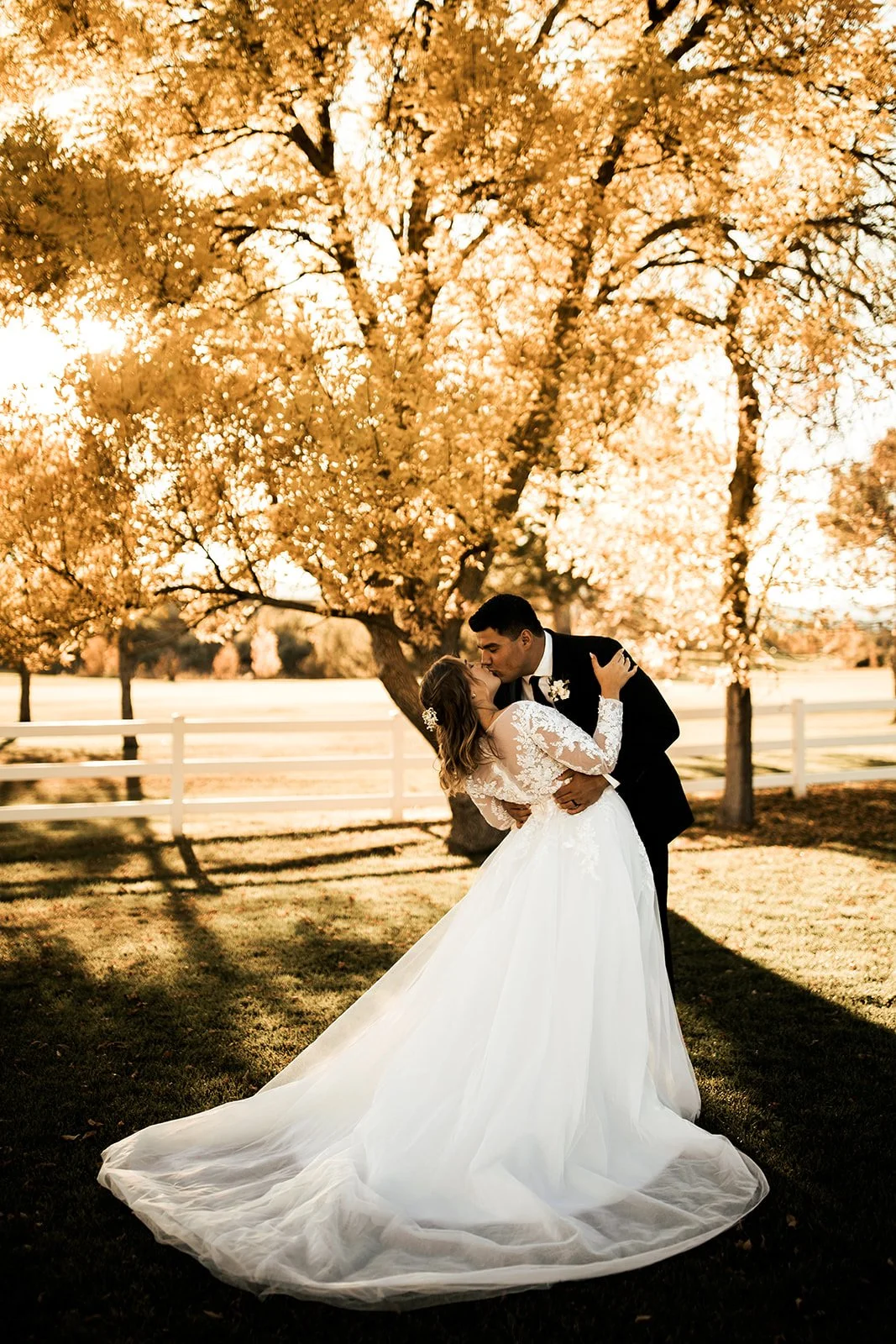 A groom dipping his bride for a kiss on a lawn beneath a huge cottonwood in full gold autumn leaf, a white ranch fence running behind them